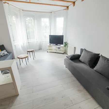 Apartament Industrialny